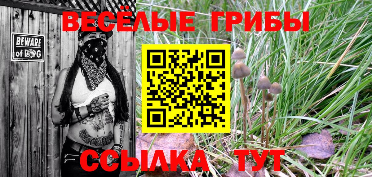 Галлюциногенные грибы Psilocybe  продажа наркотиков  Галлюциногенные грибы мицелий  Артёмовский 