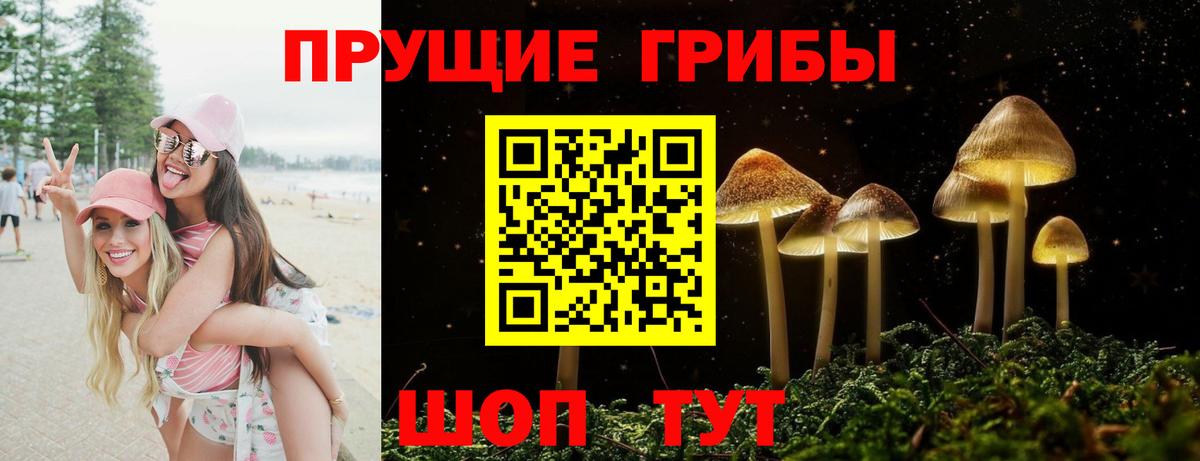 Галлюциногенные грибы Psilocybe Артёмовский